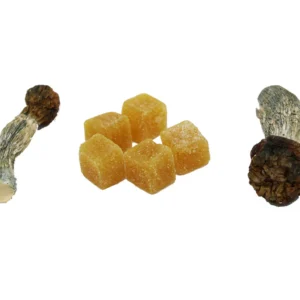 Order Mushroom Gummies Near Me